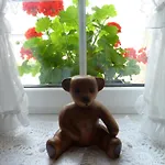 Alte Weinstuben Steinfelder Hof - 3* Элленц-Польтерсдорф