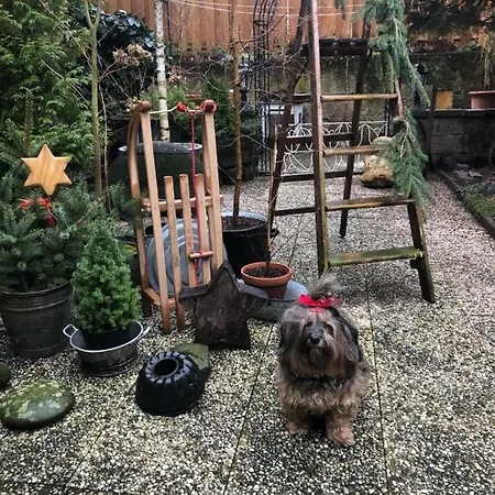 Alte Weinstuben Steinfelder Hof Garni Alojamento de Acomodação e Pequeno-almoço Ellenz-Poltersdorf