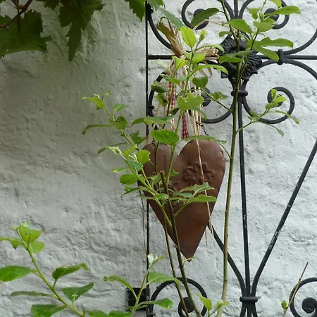 Alojamento de Acomodação e Pequeno-almoço Alte Weinstuben Steinfelder Hof Garni Ellenz-Poltersdorf