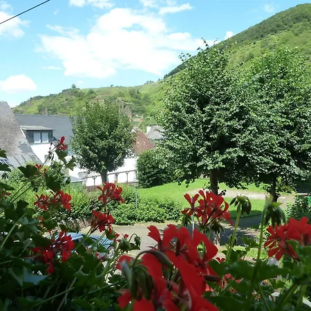 Alojamento de Acomodação e Pequeno-almoço Alte Weinstuben Steinfelder Hof Garni