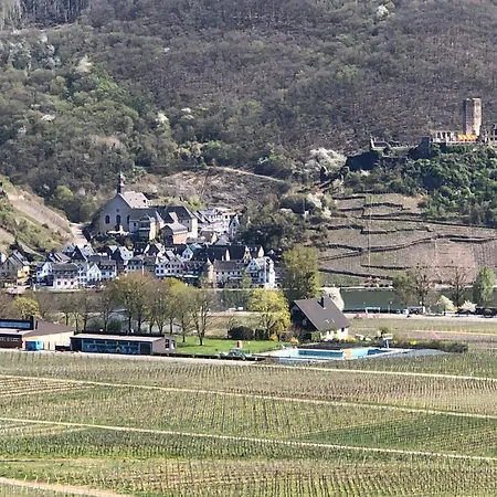 Alte Weinstuben Steinfelder Hof - فندق مبيت وإفطار 3*