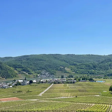 ベッド・アンド・ブレックファスト Alte Weinstuben Steinfelder Hof - エレンツ・ポルタースドルフ
