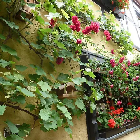 Alte Weinstuben Steinfelder Hof 3*