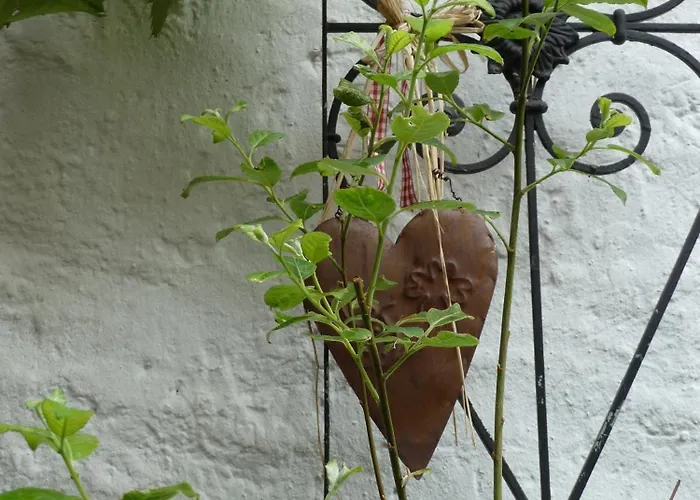 B&B Alte Weinstuben Steinfelder Hof - 엘렌츠폴터스도프