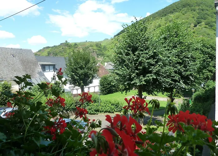 B&B Alte Weinstuben Steinfelder Hof -