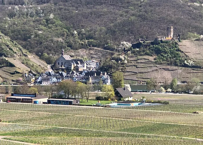 Alte Weinstuben Steinfelder Hof - فندق مبيت وإفطار 3*