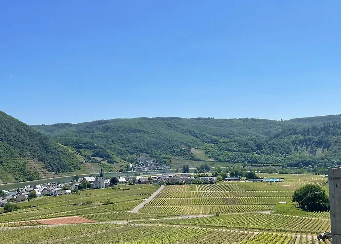 فندق مبيت وإفطار Alte Weinstuben Steinfelder Hof - إيلينز-بولتيرسدورف