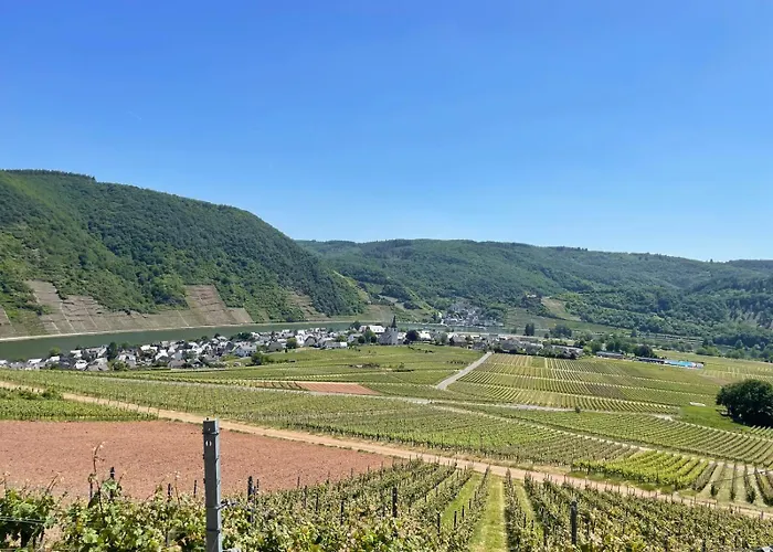 Alte Weinstuben Steinfelder Hof - إيلينز-بولتيرسدورف