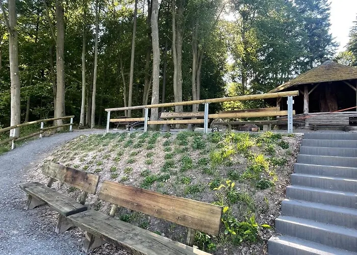 Alte Weinstuben Steinfelder Hof - Bed and breakfast