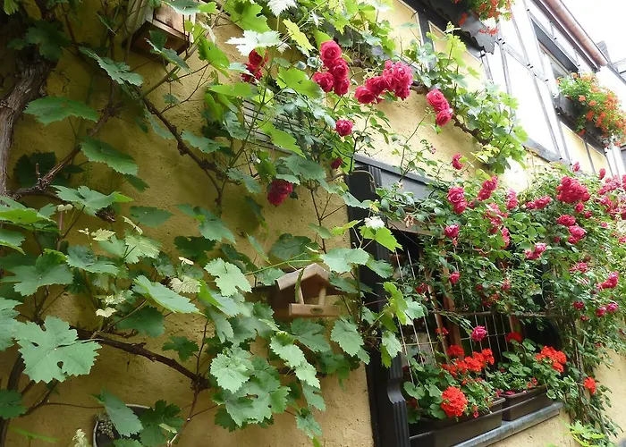 Alte Weinstuben Steinfelder Hof - 3*